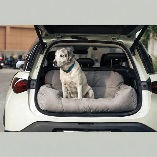 Comment transporter un vieux chien  ? Solutions douces pour maintenir sa mobilité et son moral