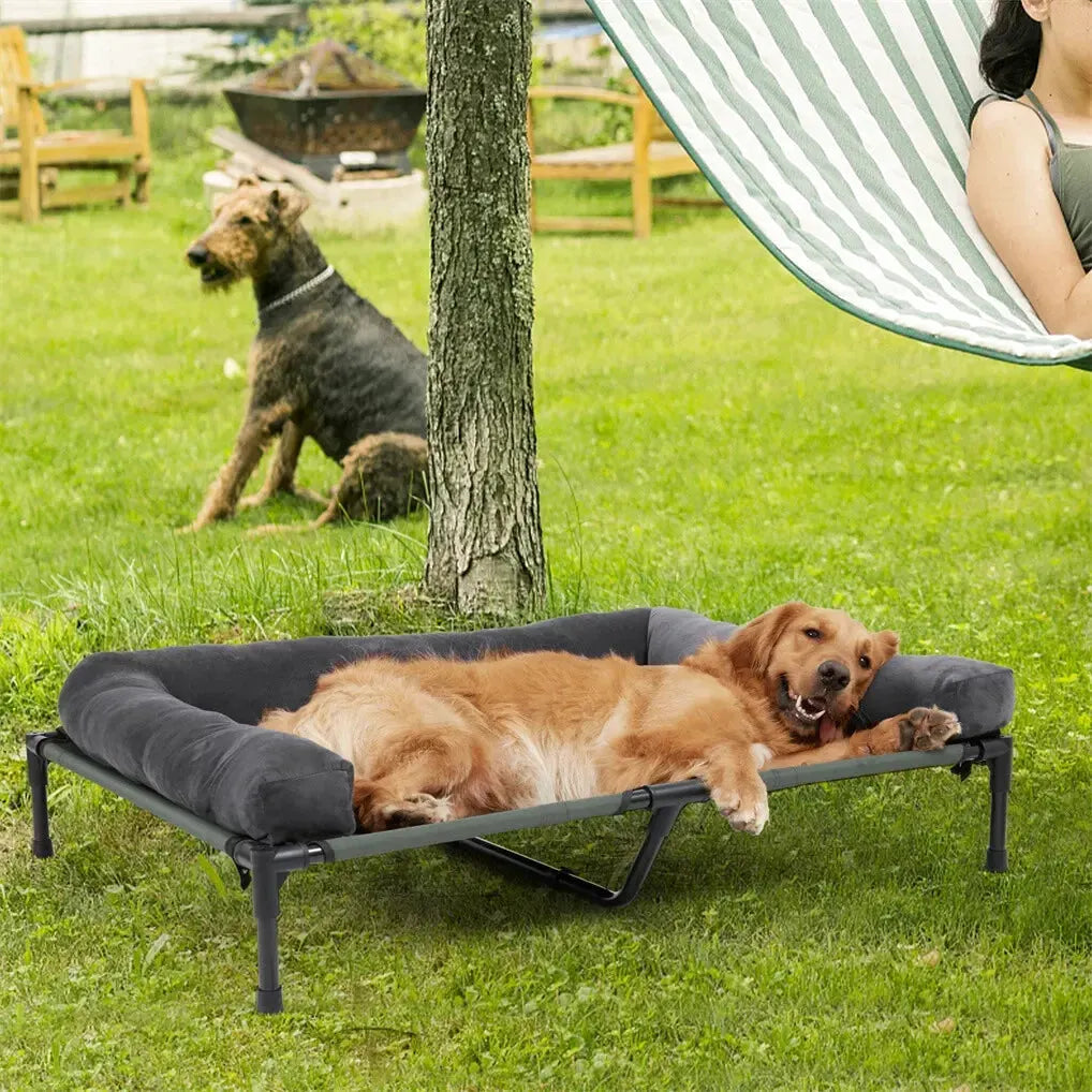 Comment choisir un lit de camp pour chien (poids, taille, matériaux)