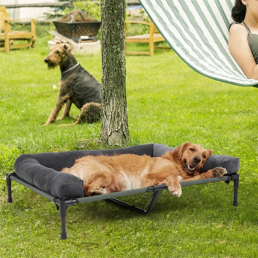 Comment choisir un lit de camp pour chien (poids, taille, matériaux)