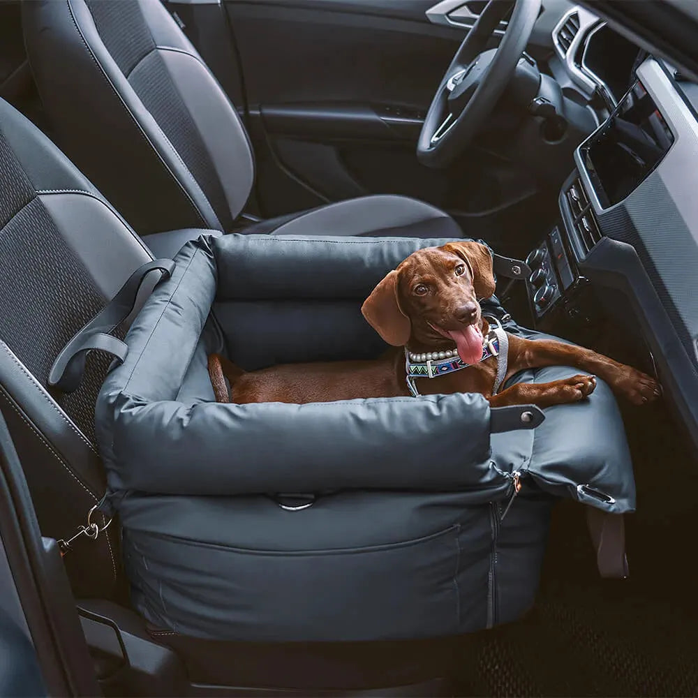Panier chien voiture : le secret pour voyager serein et en toute légalité