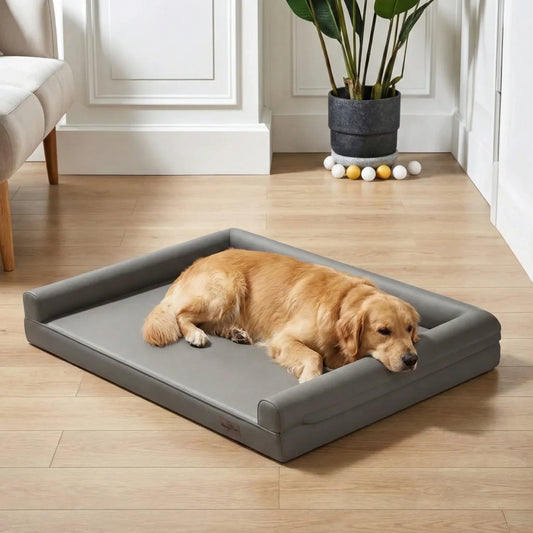 Qu'est-ce qu'un panier orthopédique pour chien ?