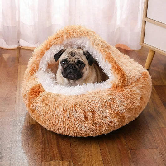 Quel panier pour un petit chien ? Le guide du confort pour les formats mini