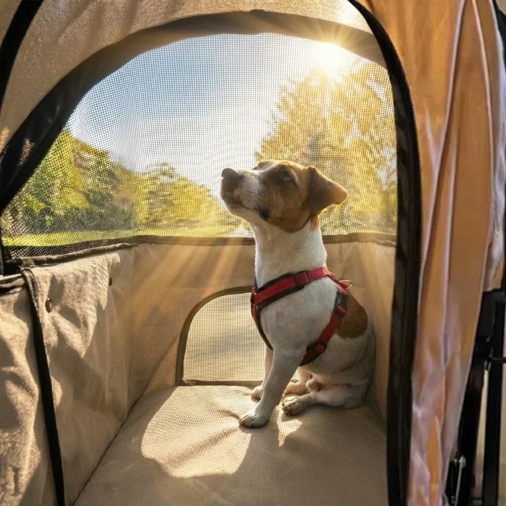 Poussette pour petit chien : comment choisir l'équipement idéal pour sa mobilité ?