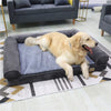 Couchage Grand Chien