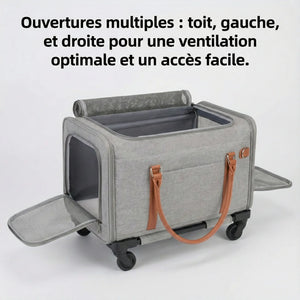 Poussette Pour Chien Pliable