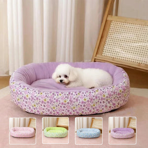 Canapé lit pour petit chien - vue de face, posé au sol, motif floral violet, coussin assorti, chien allongé dessus