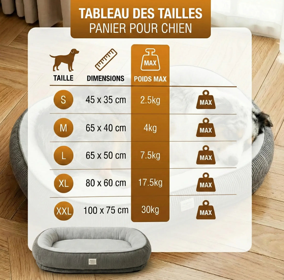Panier Design Pour Chien
