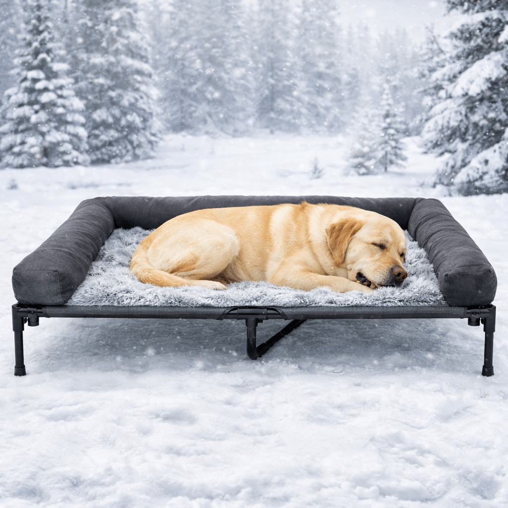 Lit De Camp Pour Chien Rembourré