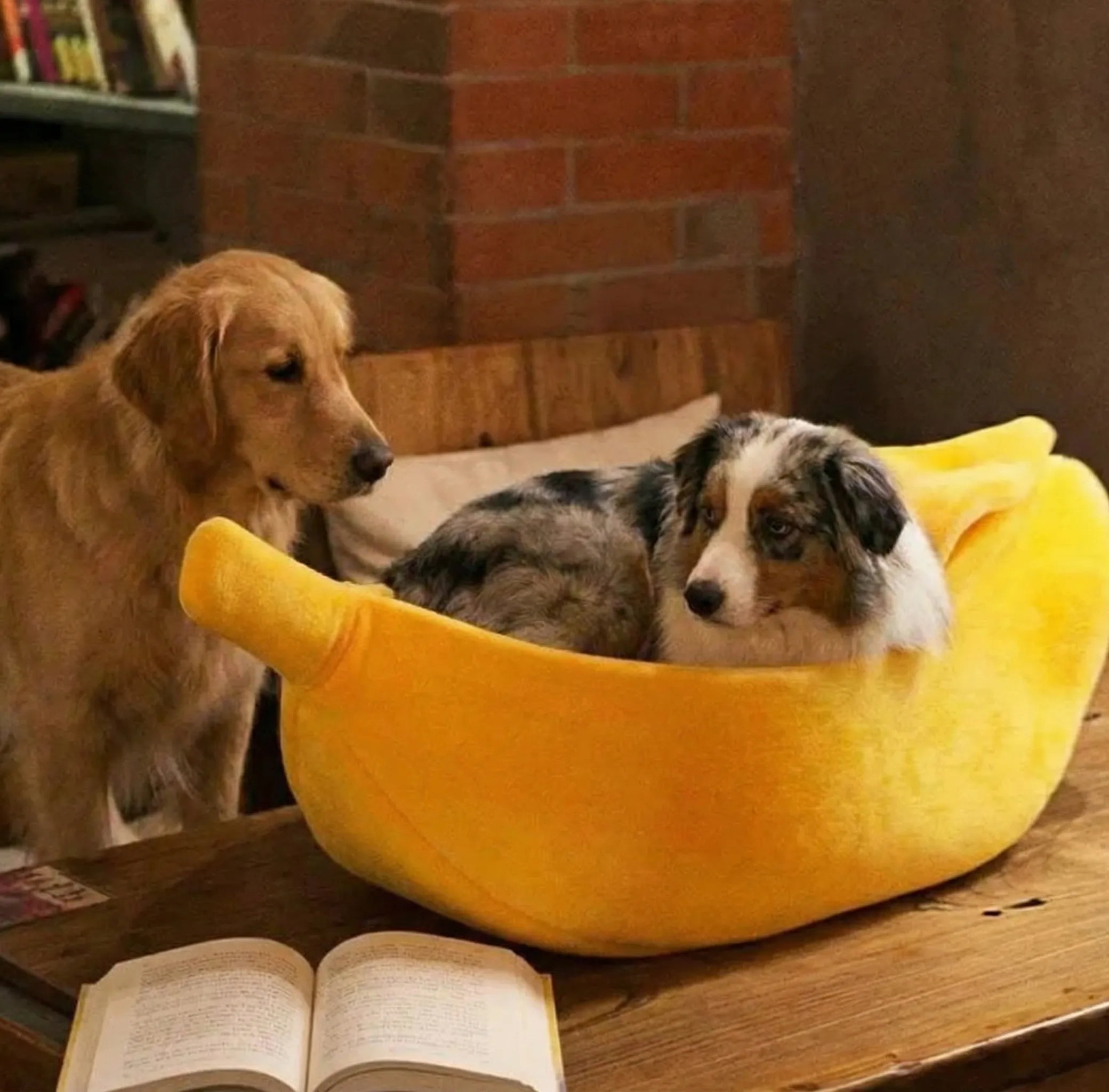 Lit Banane Pour Chien