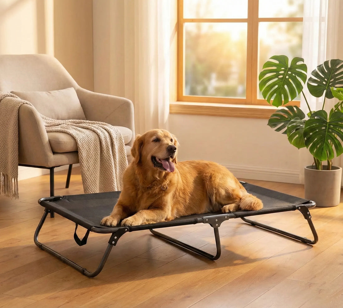 Lit de Camp pour Chien Pliable