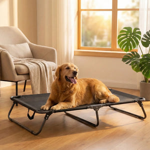 Lit de Camp pour Chien Pliable