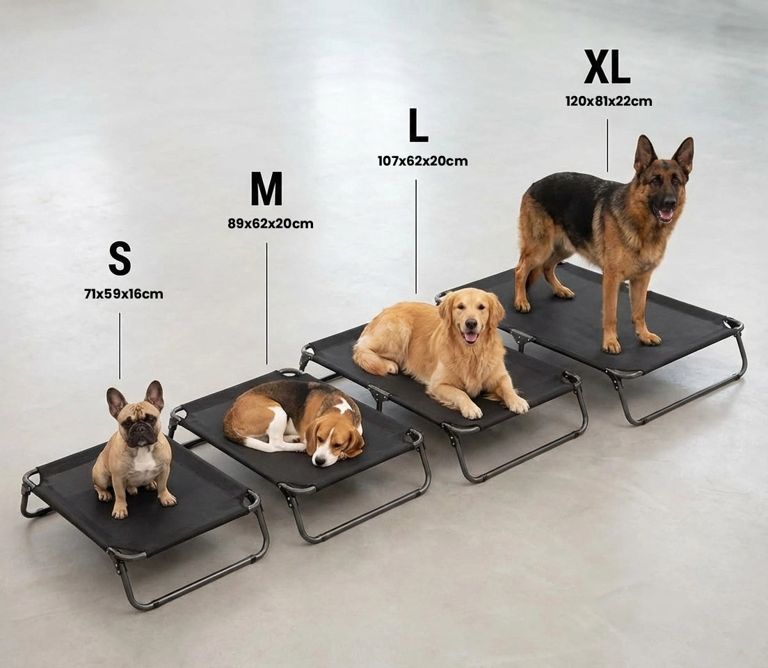 Lit de Camp pour Chien Pliable