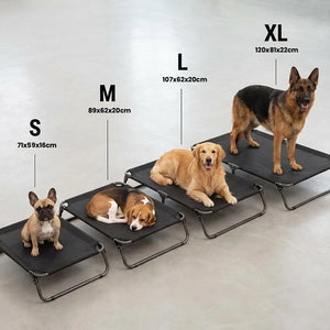 Lit de Camp pour Chien Pliable