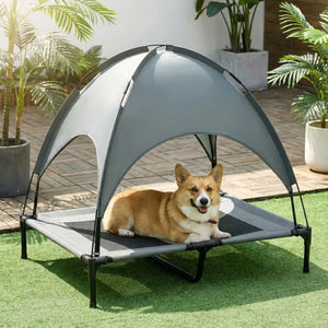 Corgi allongé sur un lit de camping pour chien surélevé avec un auvent gris pour se protéger du soleil dans le jardin.