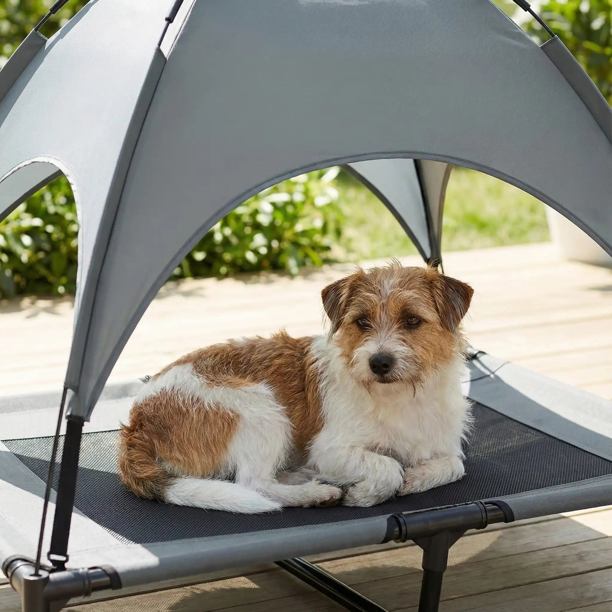 Lit De Camping Pour Chien