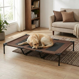 Lit Pour Chien Surélevé Marron