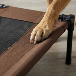 Lit Pour Chien Surélevé Marron