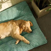 Panier Douillet Pour Chien