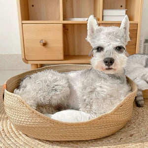 Panier en osier pour chien - vue de dessus, coussin blanc, posé au sol intérieur
