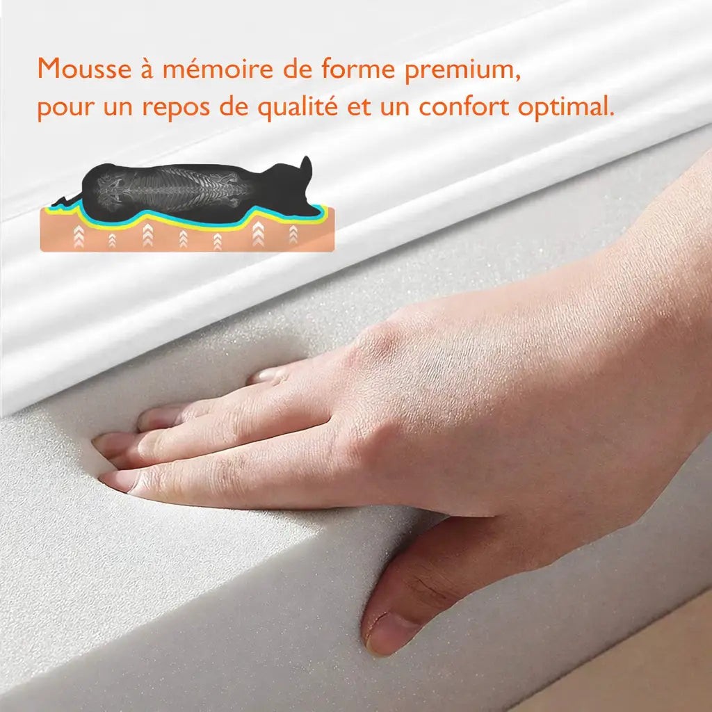 Panier Chien Grande Taille