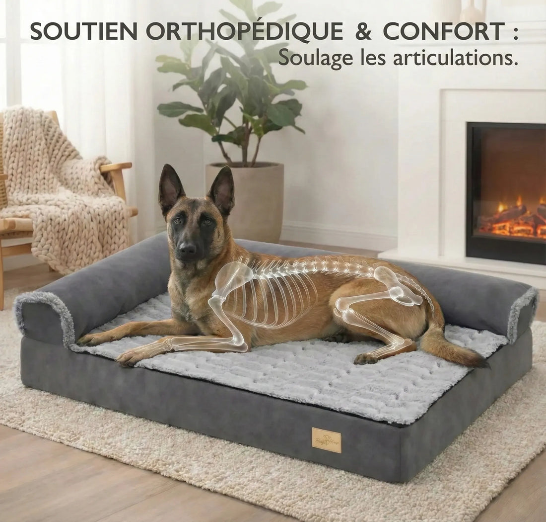 Panier Chien Grande Taille