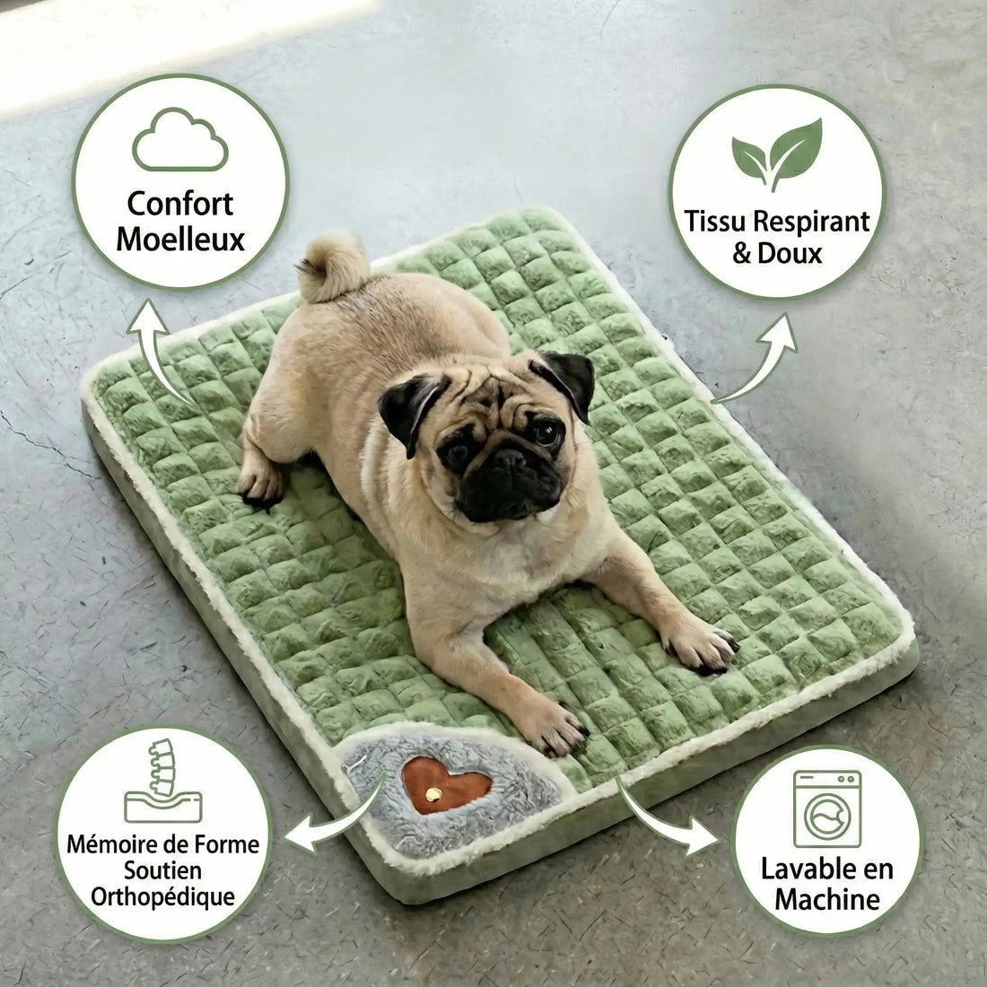 Panier Chien Memoire De Forme