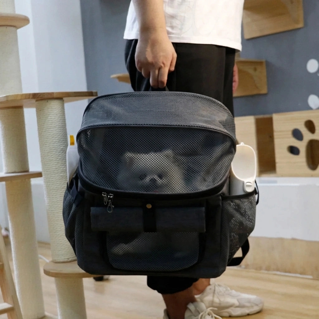 Panier De Vélo Pour Petit Chien