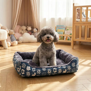Caniche toy assis dans un panier douillet pour petit chien bleu à motifs avec intérieur en peluche grise