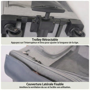 Poussette Pour Chien Pliable