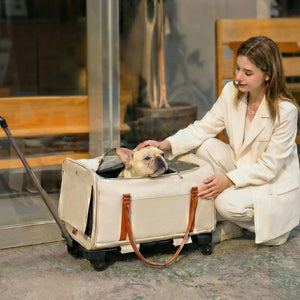 Poussette Pour Chien Pliable