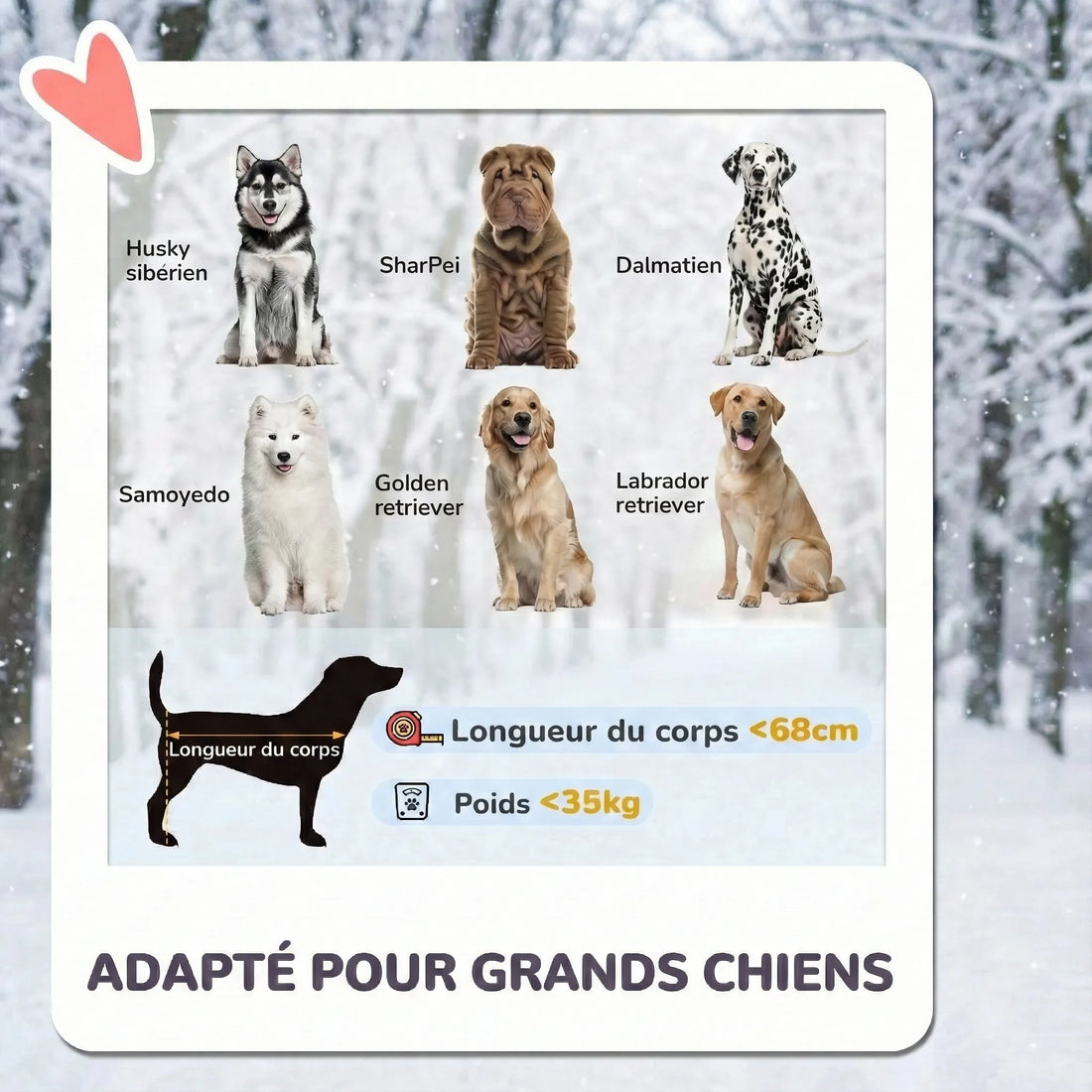 Poussette Pour Gros Chien