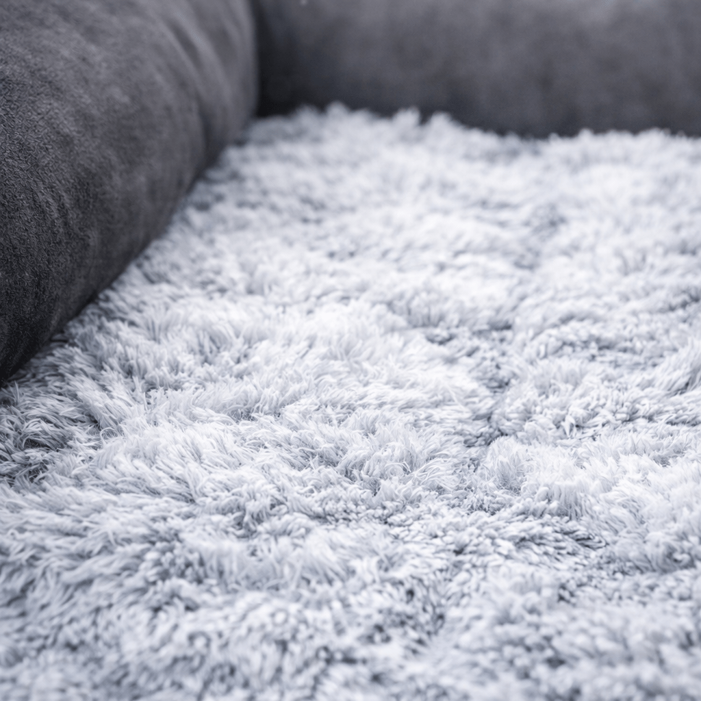 Lit De Camp Pour Chien Rembourré